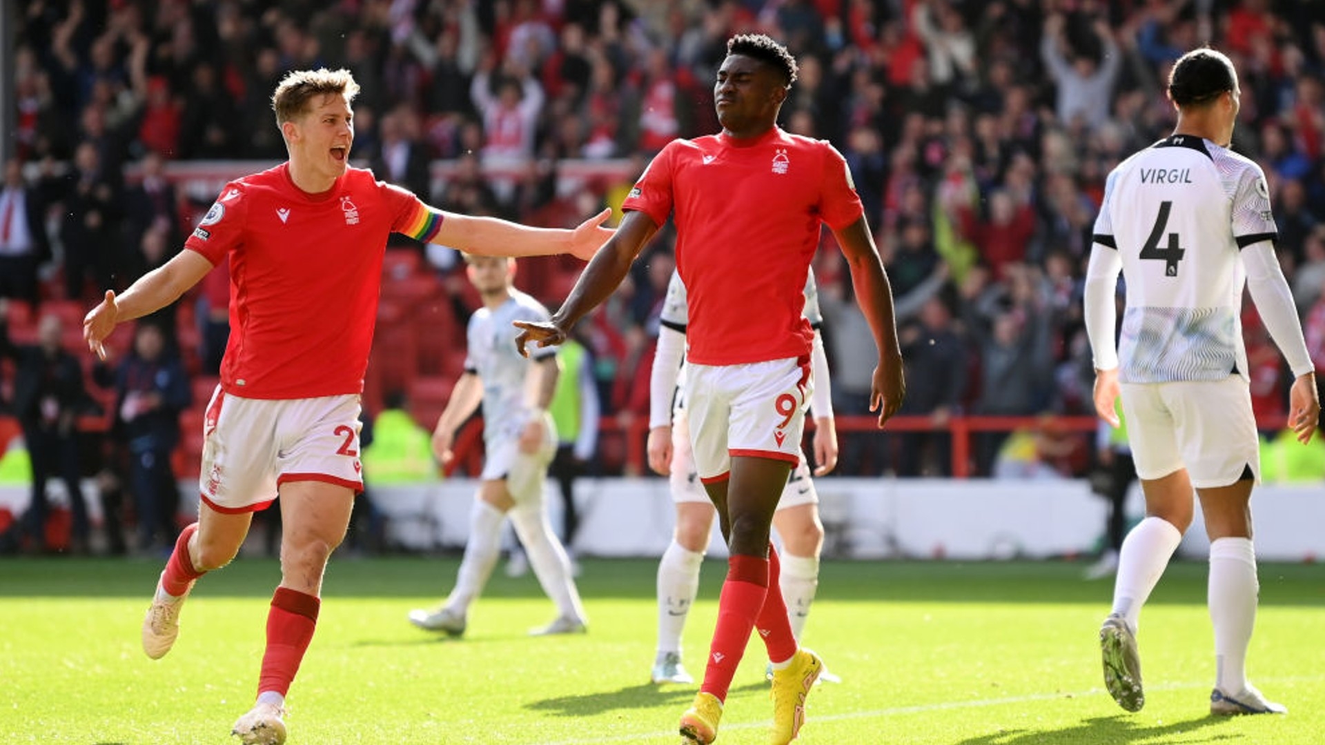 特别代表 特别代表