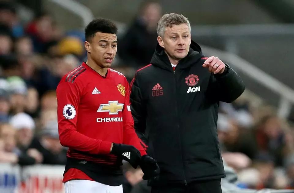 往往能够在 往往能够在