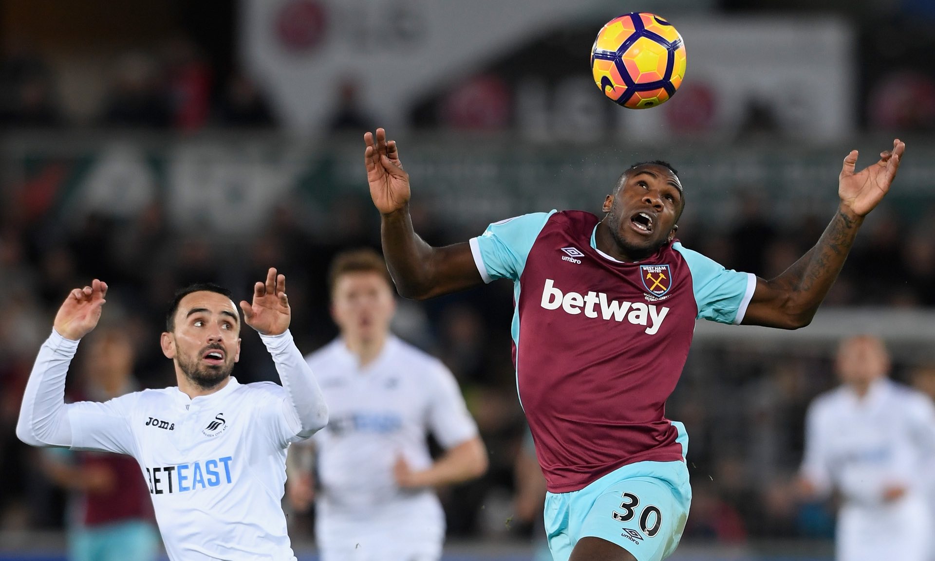 多球迷的喜 多球迷的喜